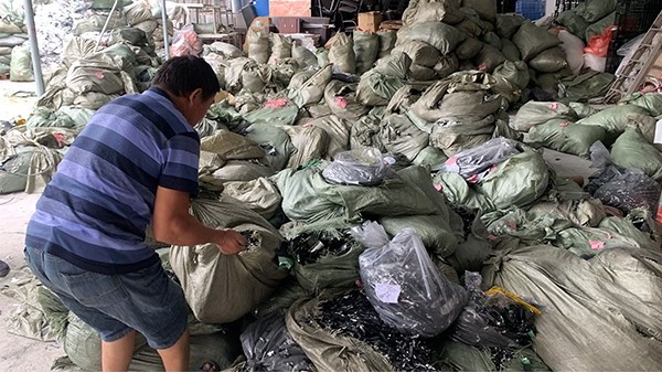預測：蜜桃视频AV免费观看回收行業將進入下一個贏利風口